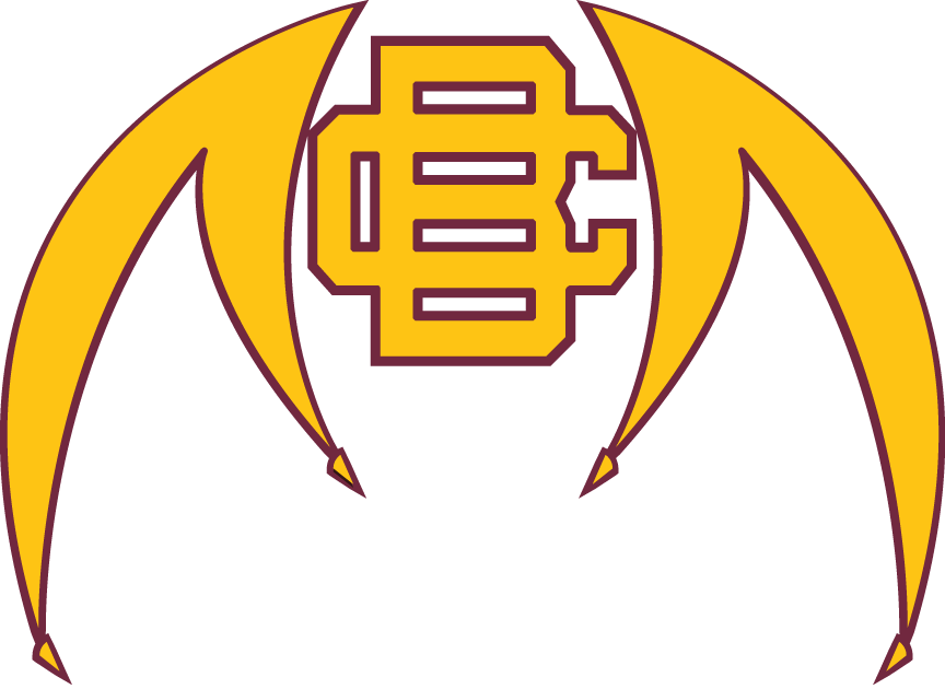 Bethune-Cookman Wildcats 2010-Pres Alternate Logo DIY iron on transfer (heat transfer)